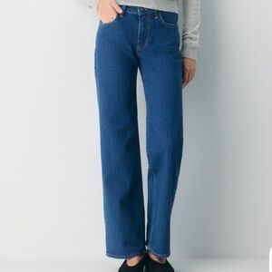 Aritzia Denim Forum Lana Mid-rise Wide Jean